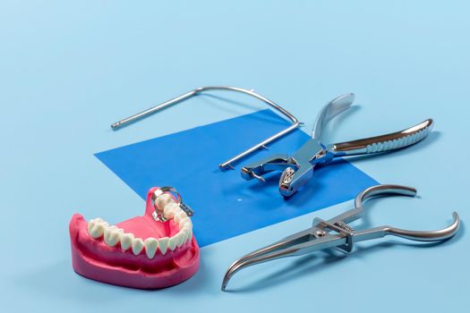 Layout of a human jaw, the dental hole punch, the metal frame and the rubber dam forceps on the blue background. Medical tools concept.