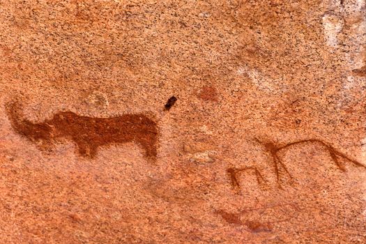 Rock Paintings Spitzkoppe Namibia africa