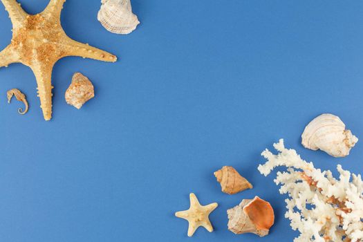 Seashells with starfish on a blue isolated background. Top view. Summer beach vacation concept. Flat lay.