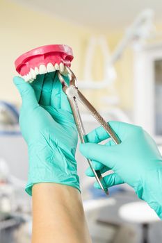 Dentist with the layout of human jaw is showing how to extract a sick tooth. Dental office on the background. Focus on stainless steel dental tongs or pliers.