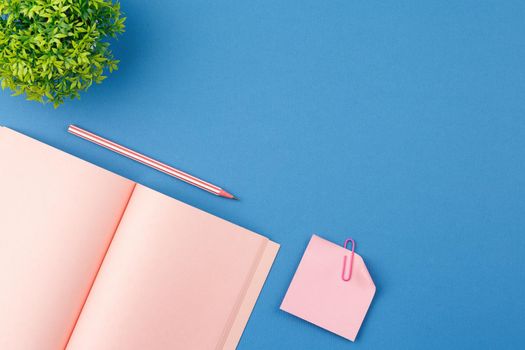 Pink notebook with pencil, note paper, clip and home plant with green leaves on blue isolated background. Flat lay. Top view.