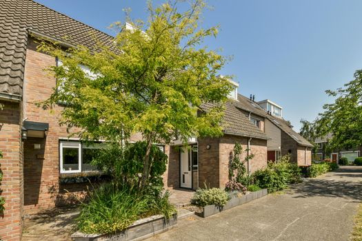 View of street near building with beauty of vegetation outside