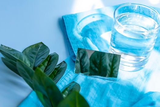 A glass glass of water on a blue background and a green plant with large leaves.,,