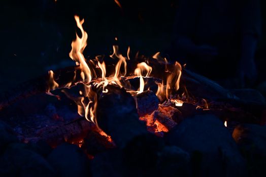 Campfire at night as a close-up