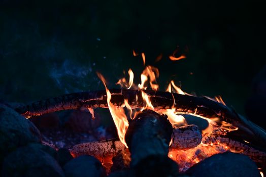 Campfire at night as a close-up