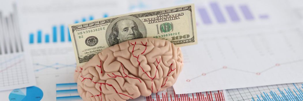 Close-up of banknote fit in anatomical model of human brain, miniature put on business papers. Make money with your intellect. Earn money with mind concept