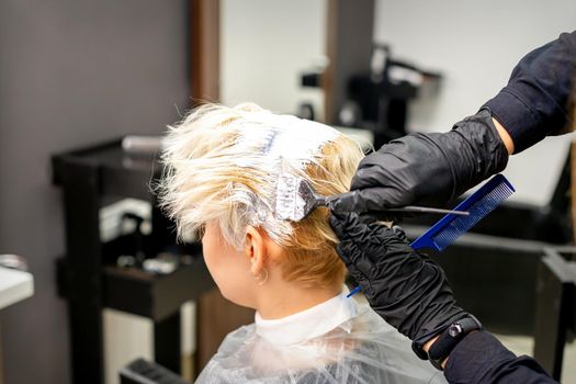 Coloring white hair with hair dye and brush by hands of hairstylist for the young caucasian blonde woman at a hair salon, close up