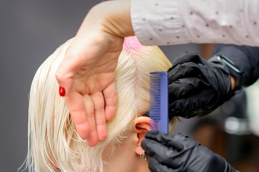 Combing hair with a comb during dyeing white hair of a young blonde woman in hairdresser salon