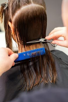 Haircut of long wet hair of young caucasian woman by a male hairdresser in a hairdresser salon, back view