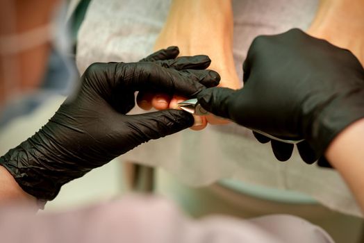 Professional pedicure. Pedicure master wearing latex gloves cuts female toenails in the beauty salon, closeup