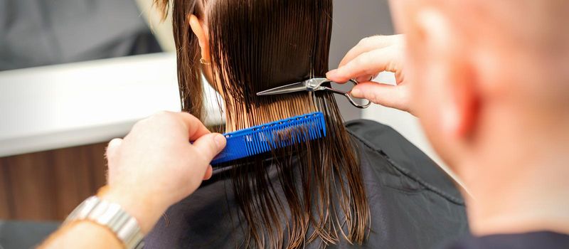 Haircut of long wet hair of young caucasian woman by a male hairdresser in a hairdresser salon, back view