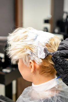 Coloring white hair with hair dye and brush by hands of hairstylist for the young caucasian blonde woman at a hair salon, close up