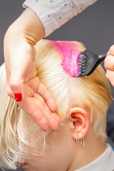 Applying pink dye with the brush on the white hair of a young blonde woman in a hairdresser salon