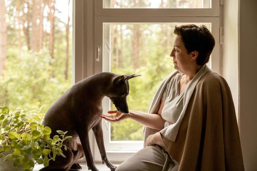 Middle age beautiful woman sitting on windowsill with her dog. 50-year-old woman spending time with her Mexican hairless dog at home. Xoloitzquintle, xolo breed. Dog as best friend, family member