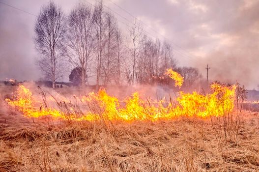 Burning old dry grass in garden. Flaming dry grass on a field. Forest fire. Stubble field is burned by farmer. Fire in the Field.