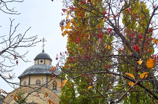 Autumn is one of the four temperate seasons. Outside the tropics, autumn marks the transition from summer to winter. Autumn landscape. Church and red rowan.