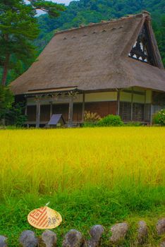 House of Horse roof and autumn paddy (Shirakawayo). Shooting Location: Gifu Prefecture