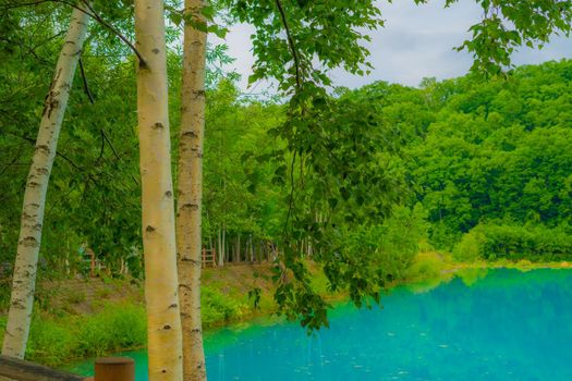 Blue pond that looks like Hayayashi (Hokkaido Biei-cho). Shooting Location: Hokkaido Biei-cho