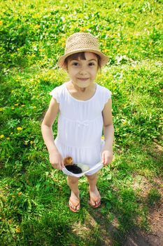 The child holds a chicken in his hands. Selective focus. nature.