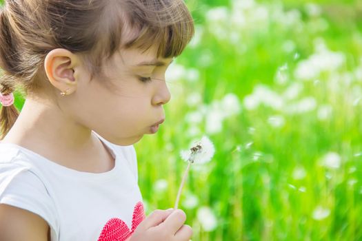 girl blowing dandelions in the air. selective focus.