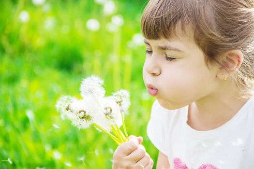 girl blowing dandelions in the air. selective focus.