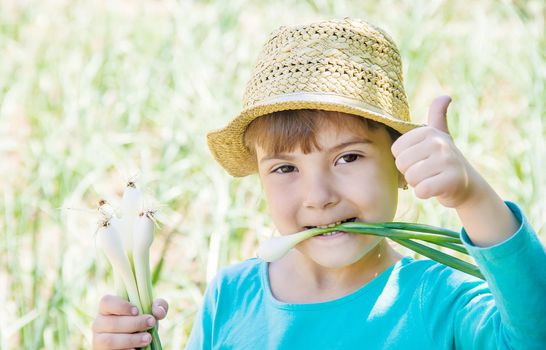 child is holding a young green bow. selective focus.