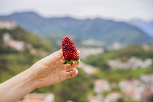 Young attractive woman eating a strawberry, outdoors.