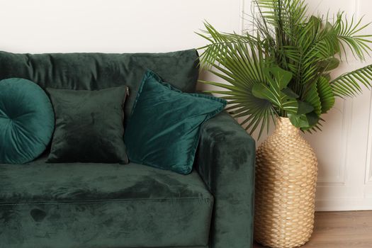 Luxurious green sofa with a plant in the interior