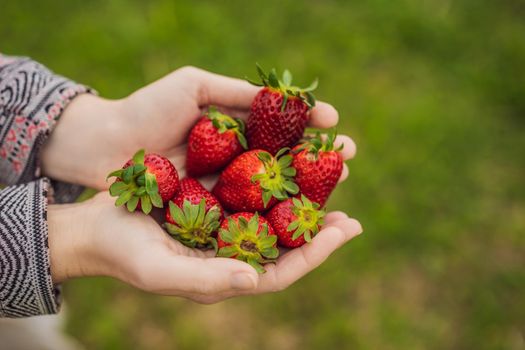 Young attractive woman eating a strawberry, outdoors.