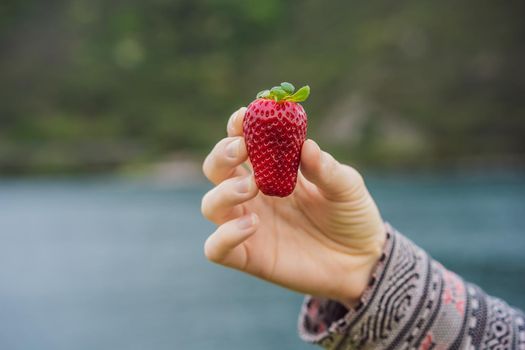Young attractive woman eating a strawberry, outdoors.