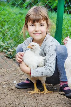 Bio chickens on a home farm a children. nature.