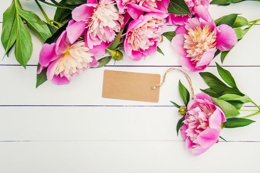 flowers peonies on a white background. selective focus.