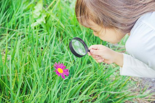 The child is looking in a magnifying glass. Increase. selective focus.