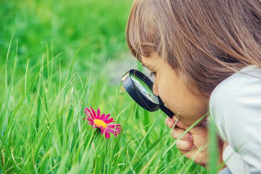 The child is looking in a magnifying glass. Increase. selective focus.