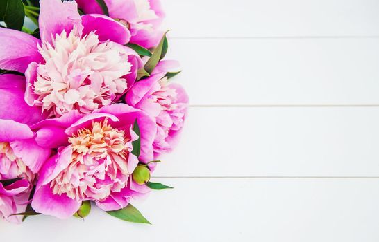 flowers peonies on a white background. selective focus.