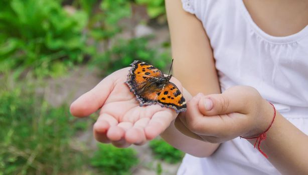 Child with a butterfly. Idea leuconoe. Selective focus.