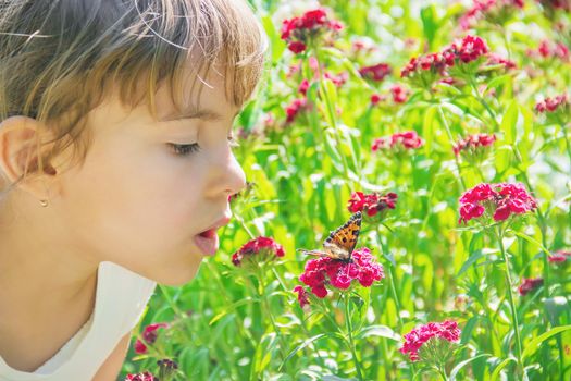 Child with a butterfly. Idea leuconoe. Selective focus.