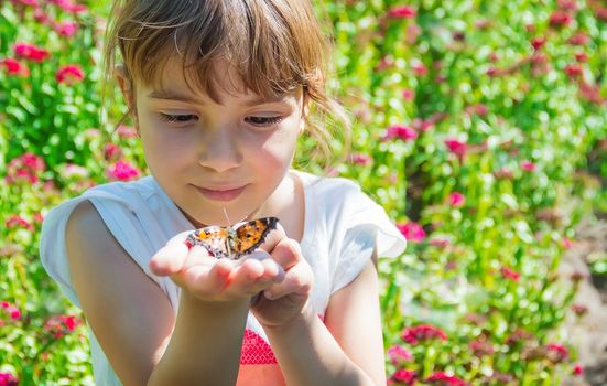 Child with a butterfly. Idea leuconoe. Selective focus.