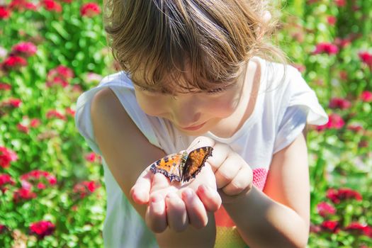 Child with a butterfly. Idea leuconoe. Selective focus.