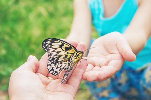 Child with a butterfly. Idea leuconoe. Selective focus.