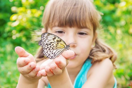 Child with a butterfly. Idea leuconoe. Selective focus.