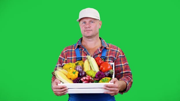 smiling male farmer in plaid shirt and hat holds a box with different fresh vegetables, on Chromakey, green background. concept of crop counting, harvest of vegetables. High quality photo