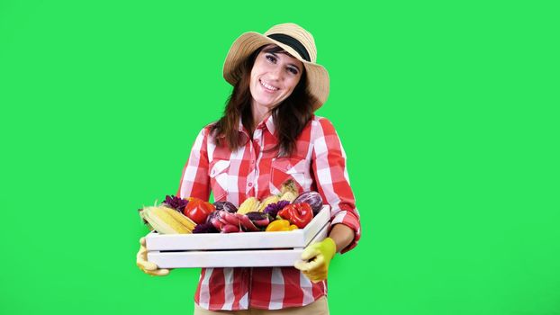 smiling female farmer in plaid shirt, gloves and hat wipes the sweat, holds a box with different fresh vegetables, harvest. green background, studio, Healthy food to your table. High quality photo