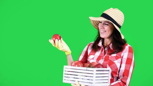 portrait of smiling female farmer in checkered shirt and hat, holding a wooden box with red ripe organic apples, on green background in studio. Healthy food to your table. High quality photo