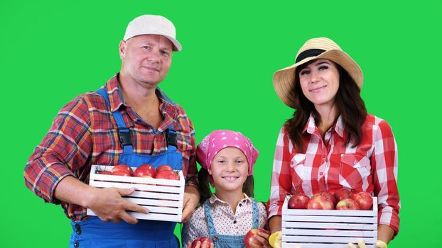 portrait of farmers family , holding in their hands wooden boxes with red ripe organic apples, smiling, on green background in studio. Healthy food to your table. High quality photo