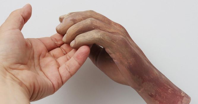 A living hand touches an artificial wrist from a mannequin on a white background.....