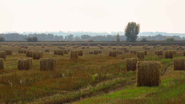 hay-roll on meadow against sunset background