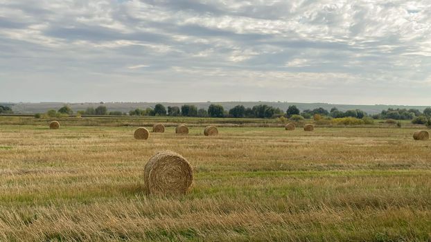 hay-roll on meadow against sunset background