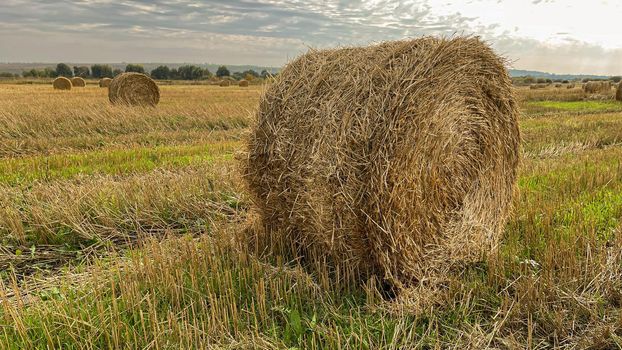 hay-roll on meadow against sunset background