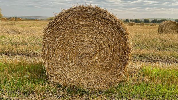 hay-roll on meadow against sunset background